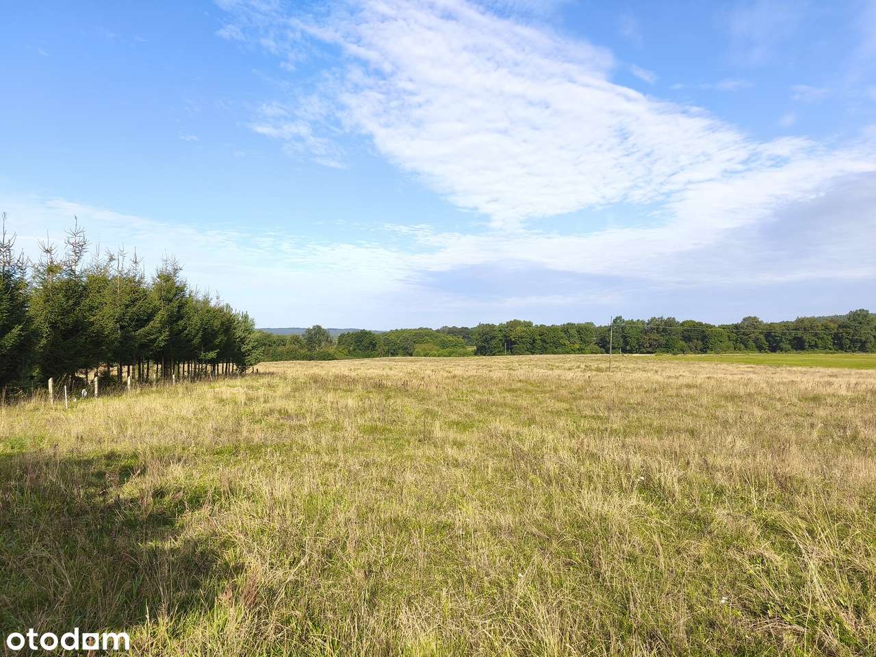 Z dala od spojrzeń sąsiadów-1