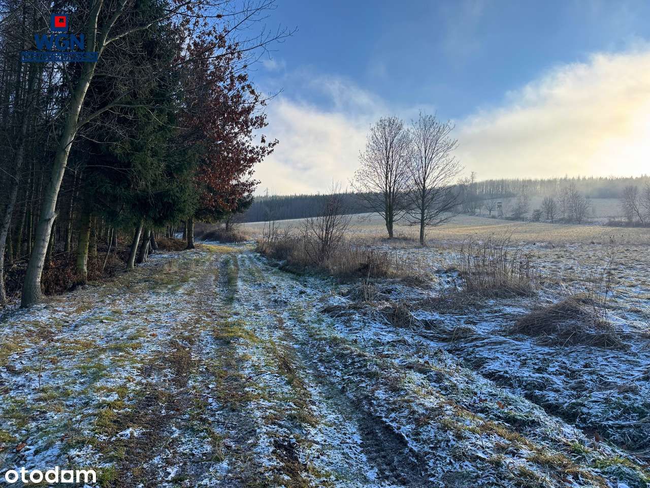 Działka budowlana z pięknymi widokami pod lasem.-9