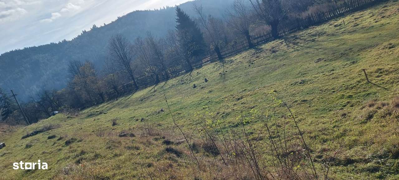 Vindem teren intravilan 6500 Bucovina - Vama-4