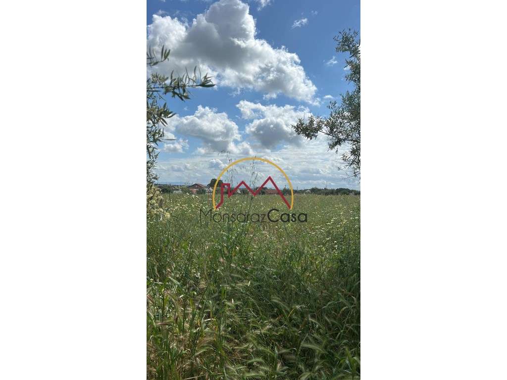 Terreno em Cabeça de Carneiro - Grande imagem: 2/8