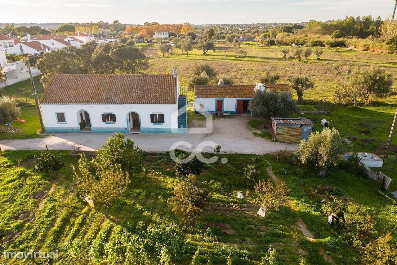 Quinta de 11.625 m² c/ Moradia T3 e anexos | Canaviais, Évora - Grande imagem: 3/43