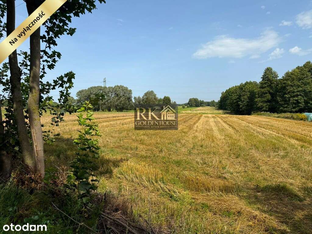 Duża działka rolna na sprzedaż z możliwością budowy domu-9