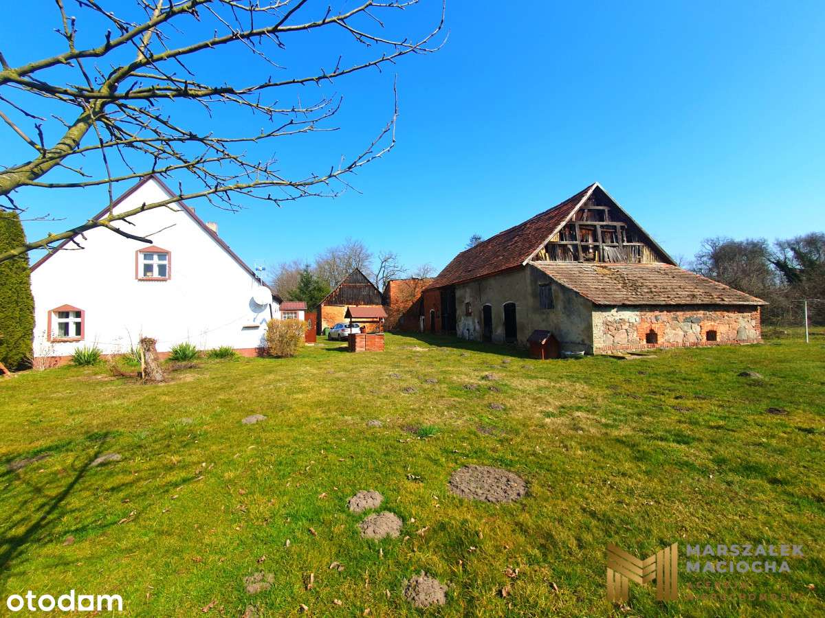 5200 m2 z domem i zabudowaniami, Kozowo, okazja!-6