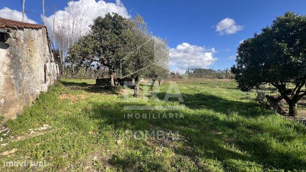 Moradia para restauro, terreno com 2507m2,Freixianda - Grande imagem: 5/22