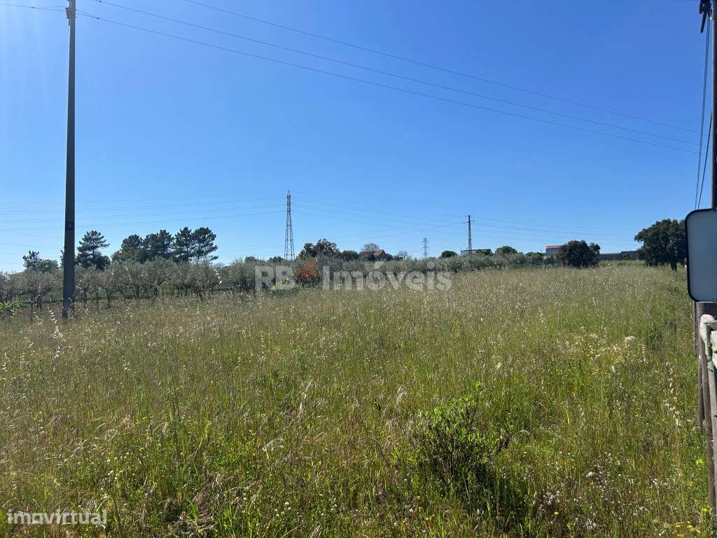 Terreno vedado com 8.240m² em malha Urbana - Tomar - Grande imagem: 4/12