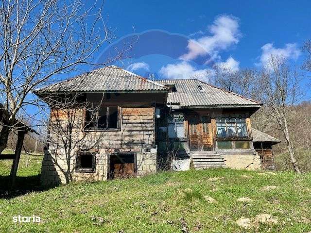 Teren 7,495mp Barsana - Imagine principală: 2/6