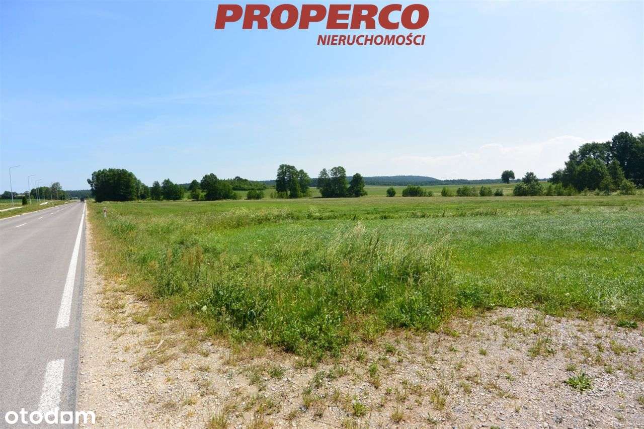 Działka 3225 m2, Sarbice Pierwsze, Łopuszno - Pełny obrazek: 4/6