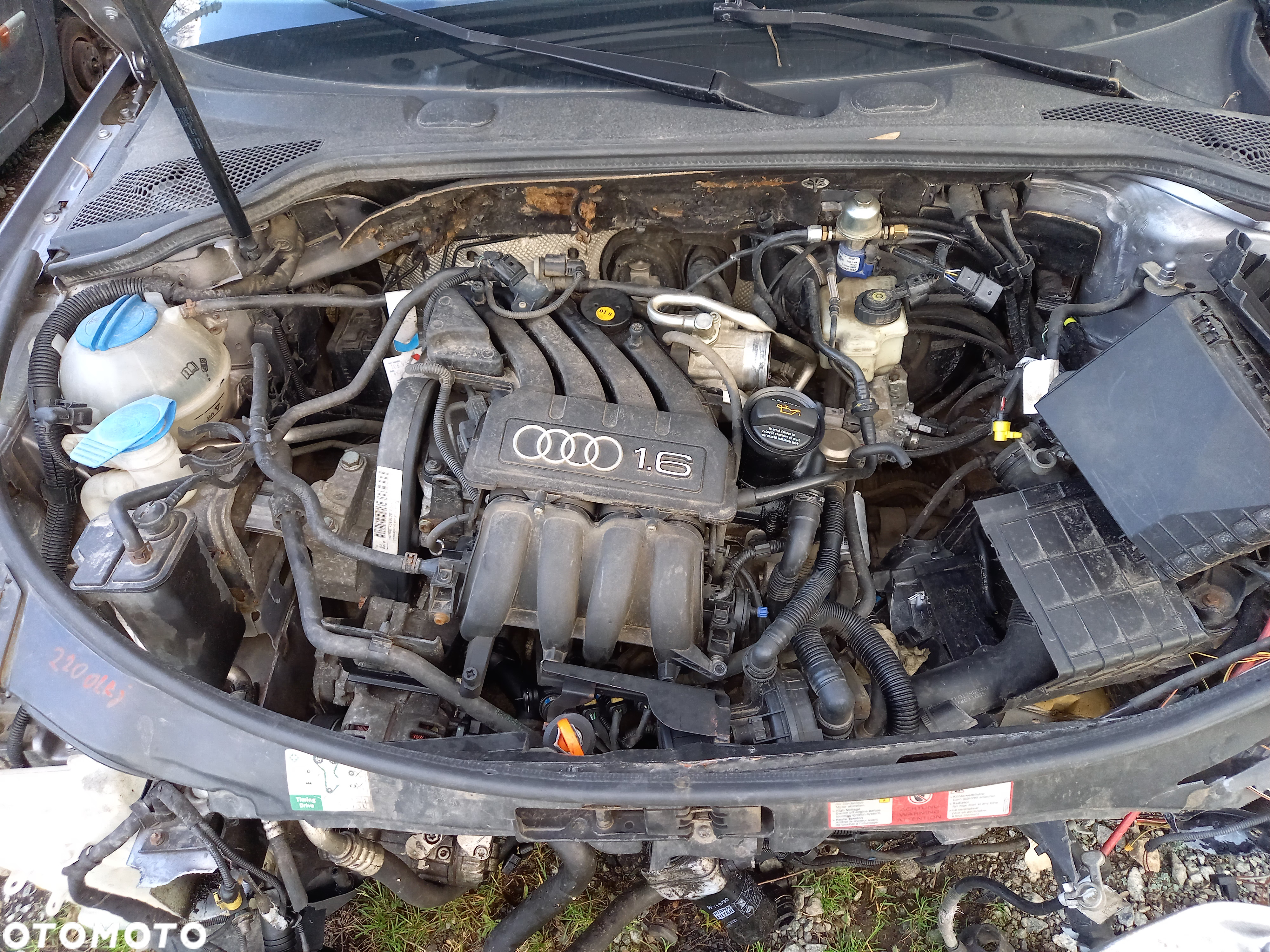 Cześci Audi A3 8P 3 - drzwi 1.6 benzyna 3d - 5