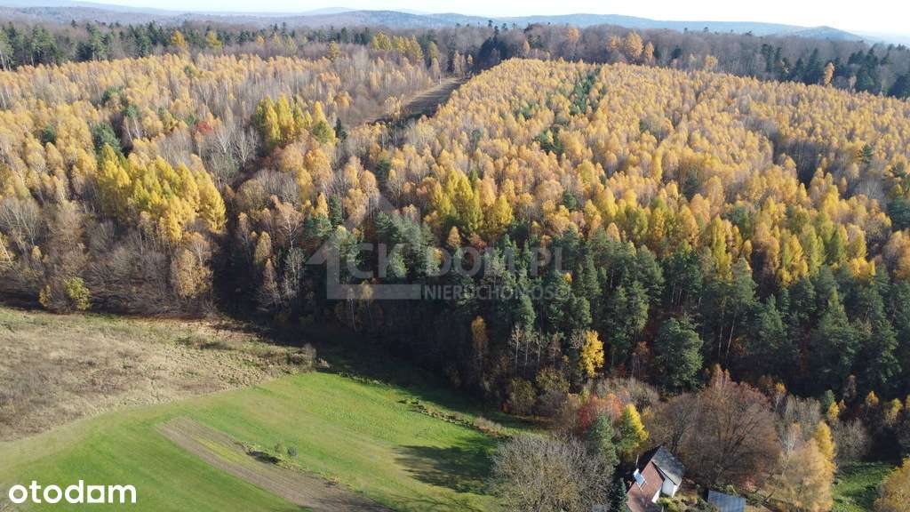 Działka na sprzedaż Cisów-3