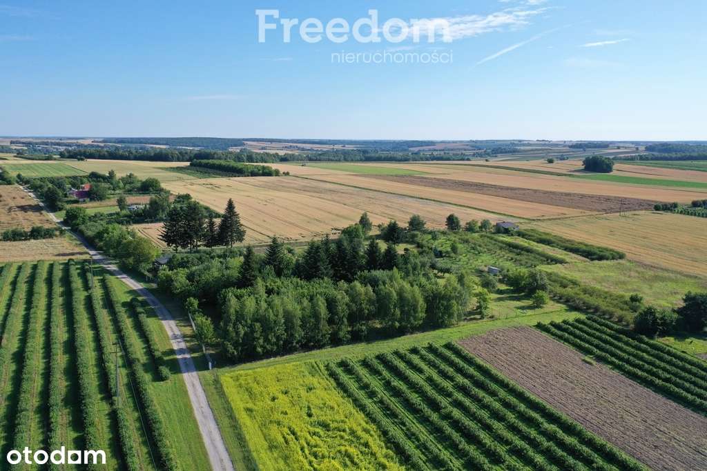 Działka siedliskowa - Pełny obrazek: 5/6