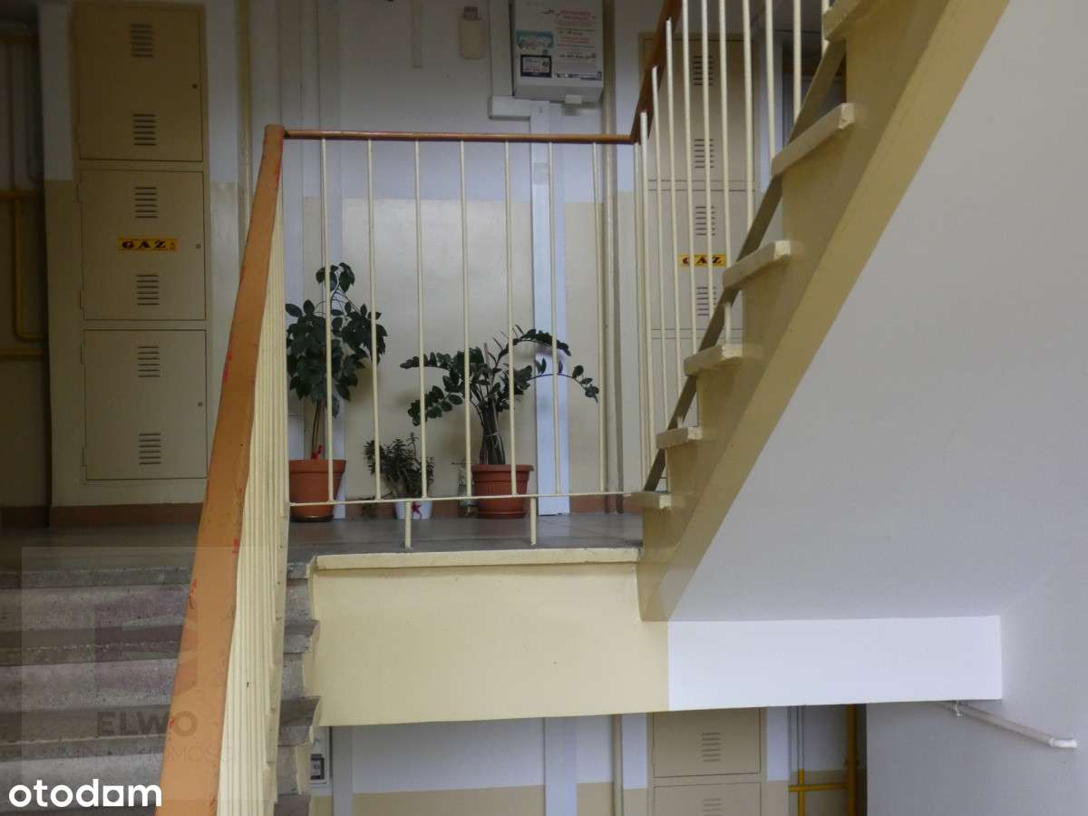 Ładne 3 pokoje z loggią jak w parku.-17