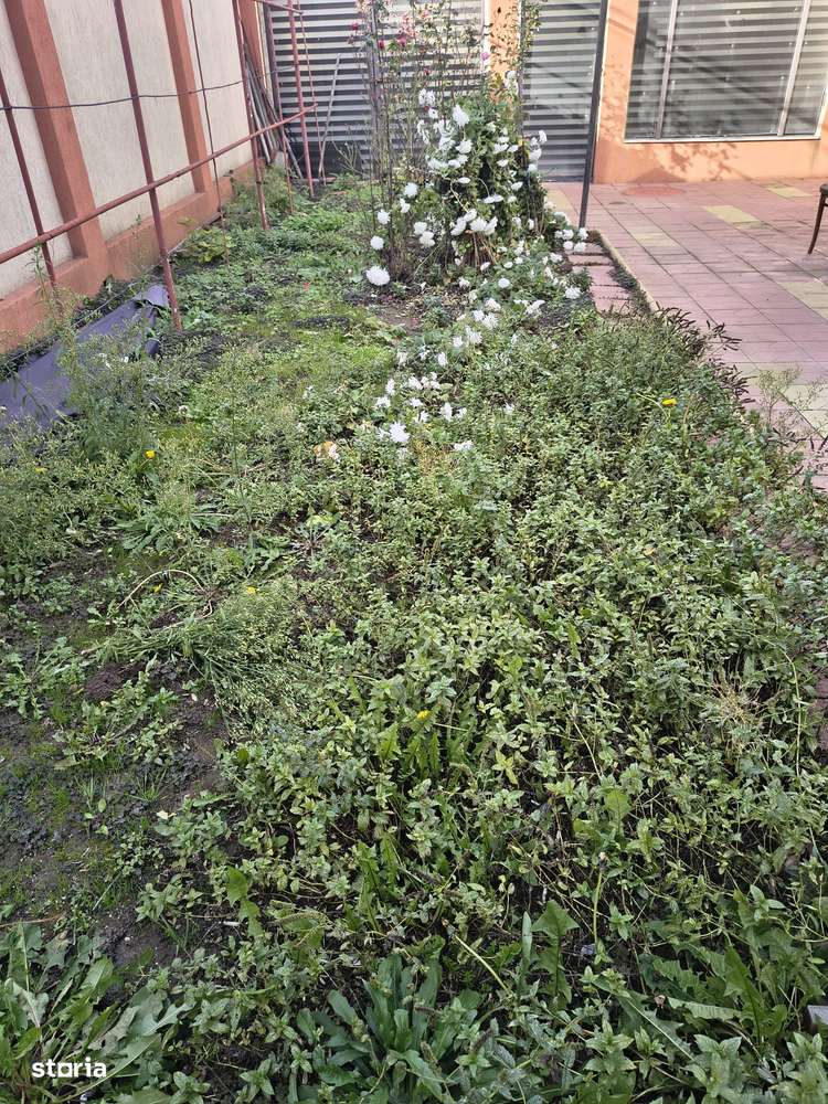 UNIVERSITATE casa de caramida cu 3 camere 176 mp pret 235000 euro-9