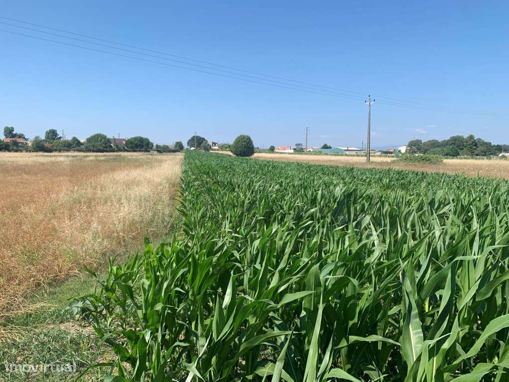 TERRENO C/ 18 METROS DE FRENTE - SANTA JOANA - Grande imagem: 5/6