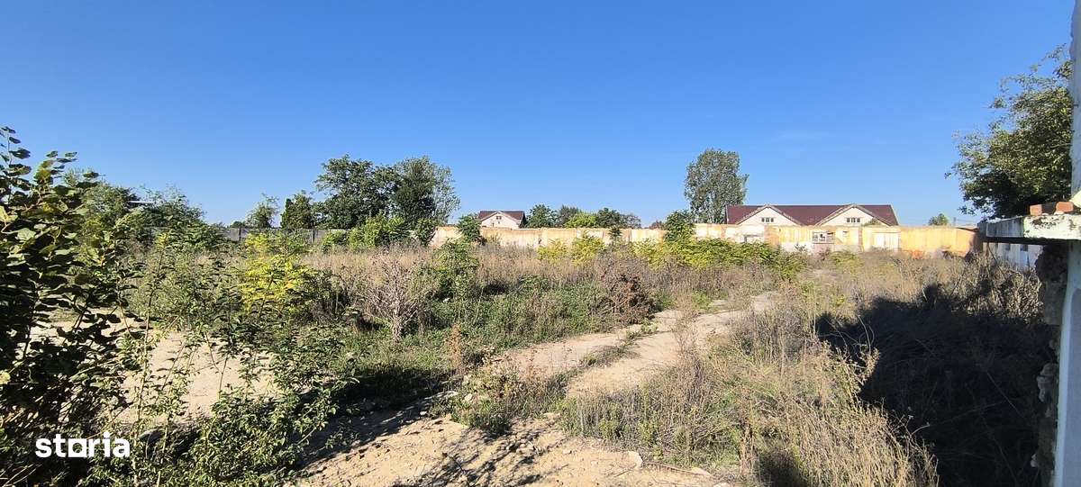 De închiriat hală + platformă betonată – Salonta, Bihor - Imagine principală: 4/20