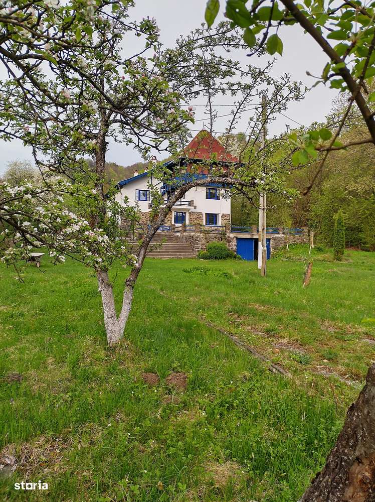 Conac de vanzare, 10 camere, sat Toaca, jud.Mures-10