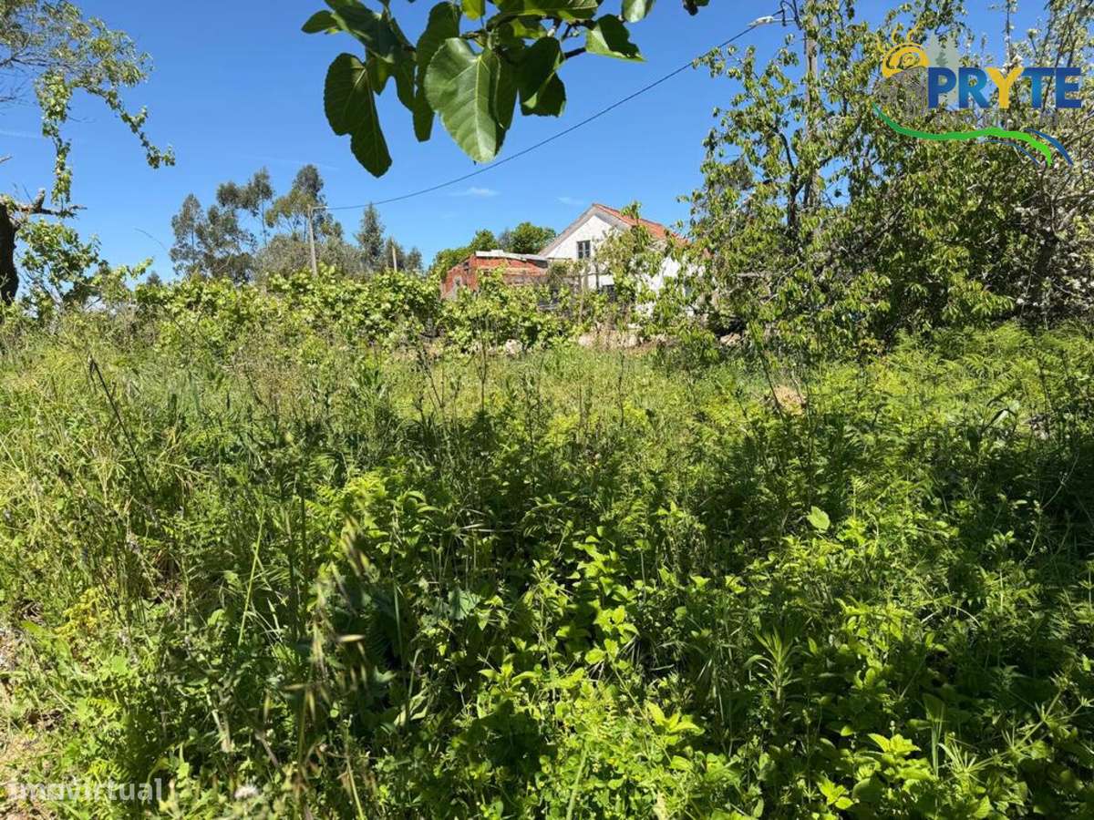 Terreno parcialmente dentro do perímetro urbano da aldeia-7