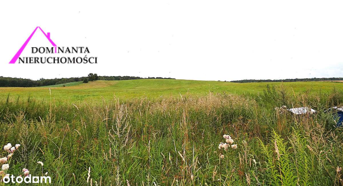 Działki rolne blisko lasu na Mazurach, 10 ha.-12