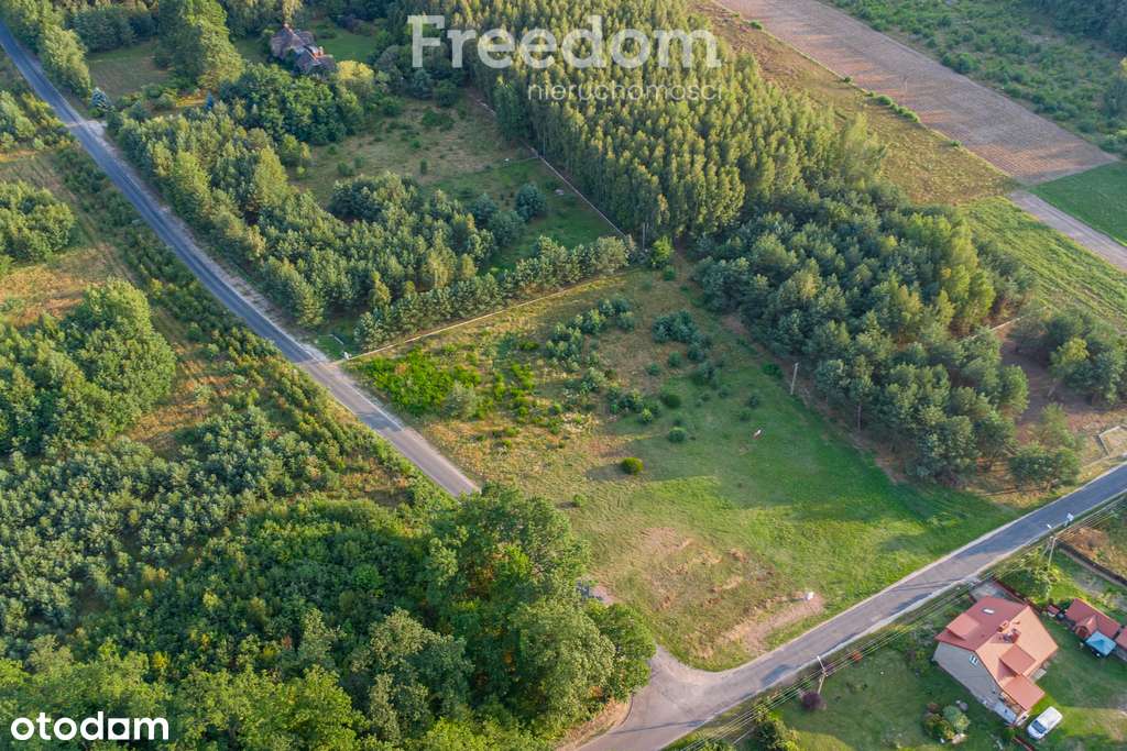 Piękna działka pod budowę domu Grzegorzewice - Pełny obrazek: 5/20