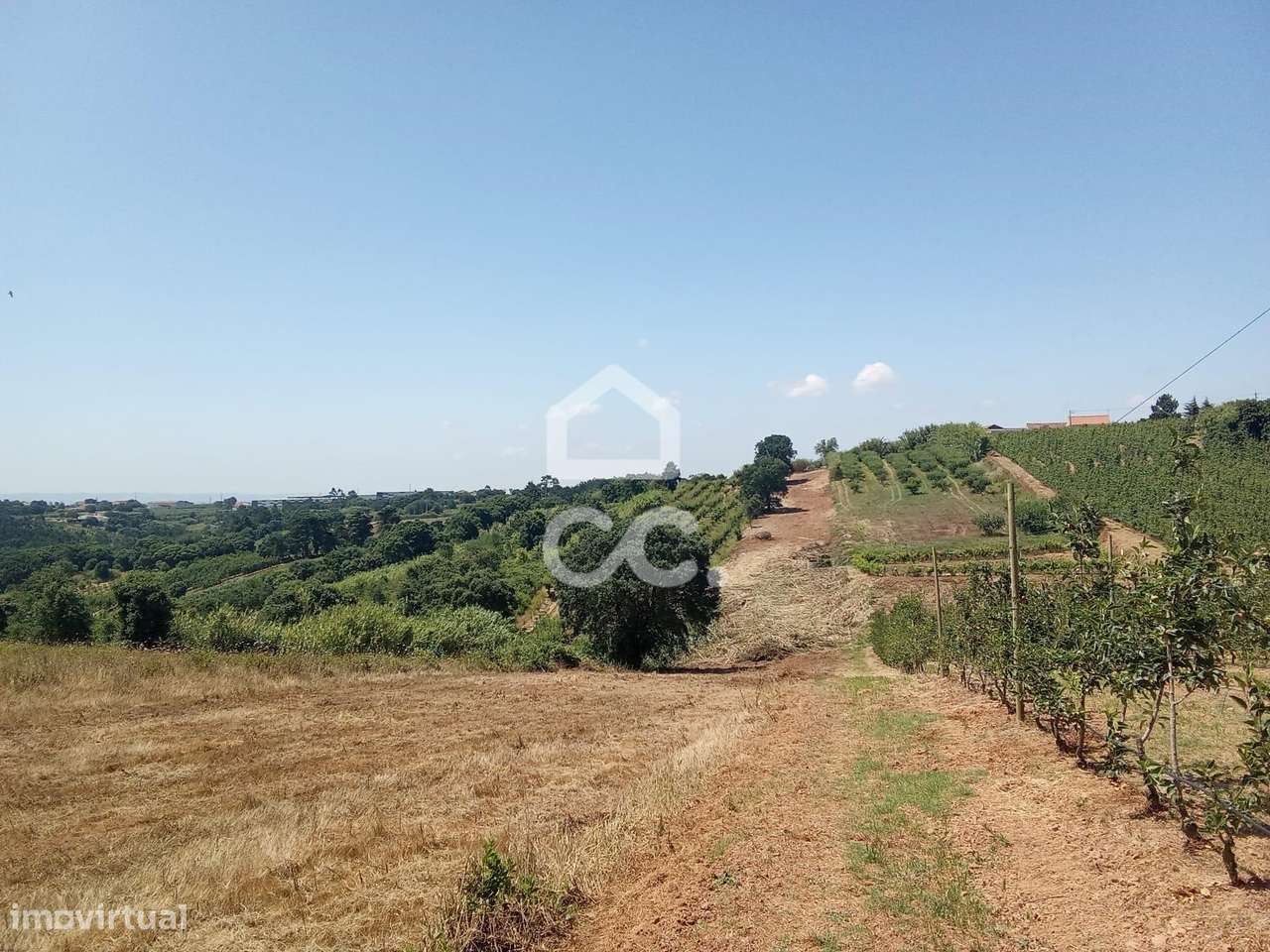 Terreno Rústico com 3.880 m² – Excelente Oportunidade em Usseira, a 3 - Grande imagem: 4/13