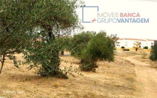 Terreno com 8,750m² e PIP aprovado, localizado em zona de expansão ... - Grande imagem: 4/13