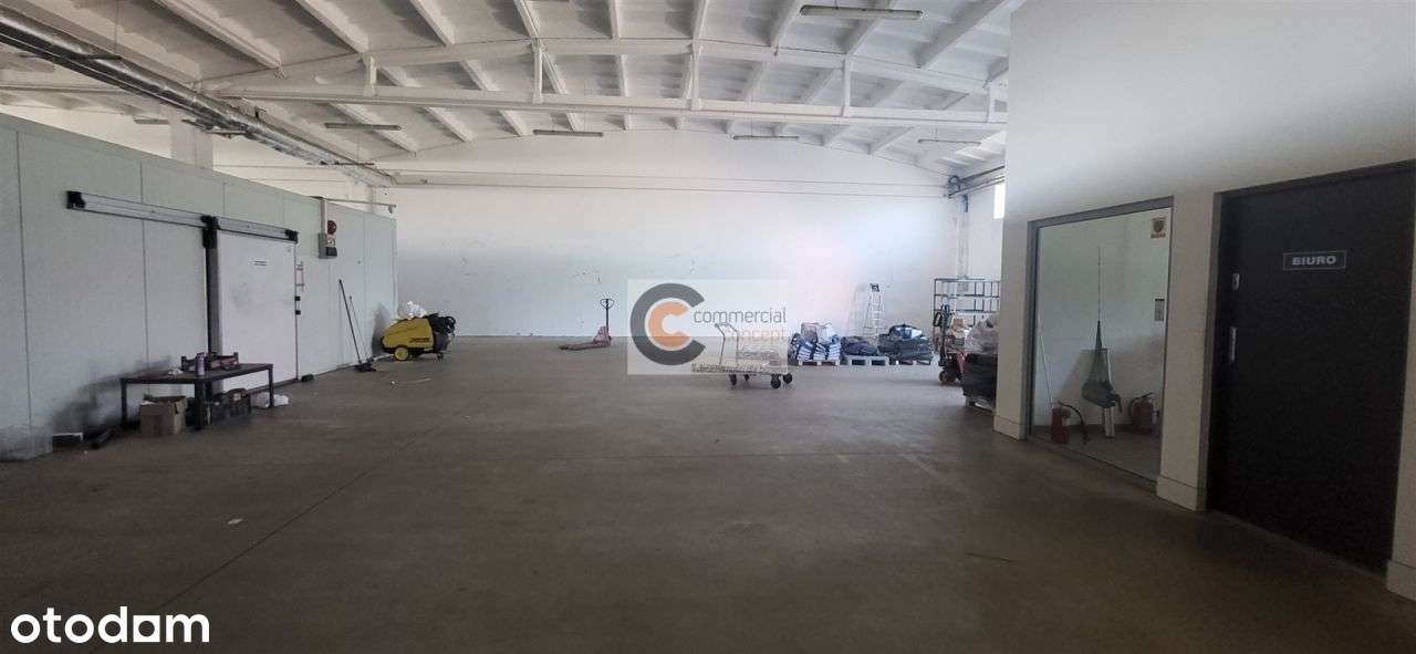Niska Hala Pod Hurtownię, E-Commerce, Produkcję - Pełny obrazek: 5/9