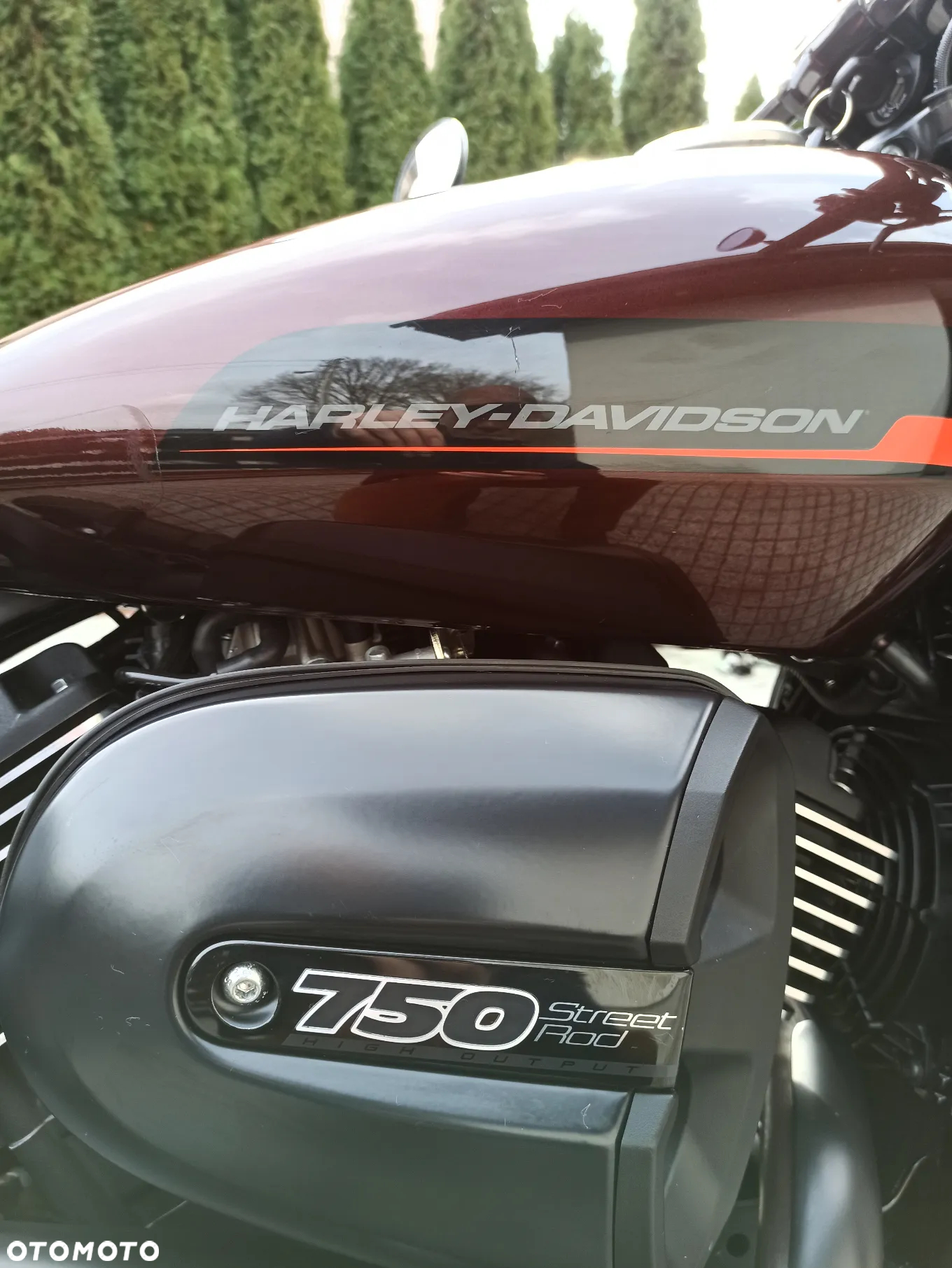 Harley-Davidson Street Rod XG 750A - 7