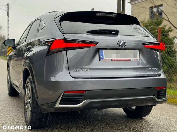 Lexus NX - 6