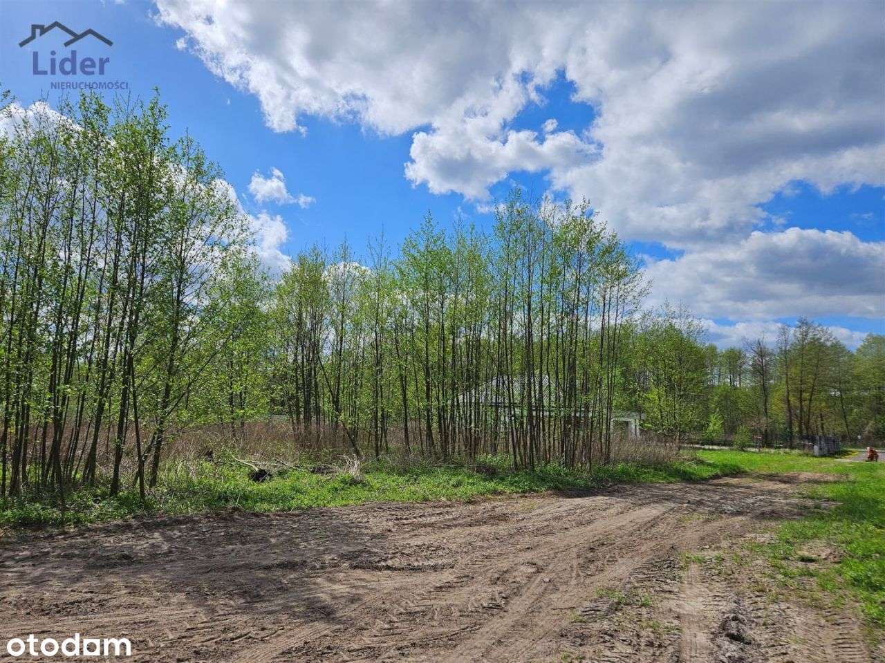 Działka Wielka Nieszawka, w otoczeniu lasu - Pełny obrazek: 5/11
