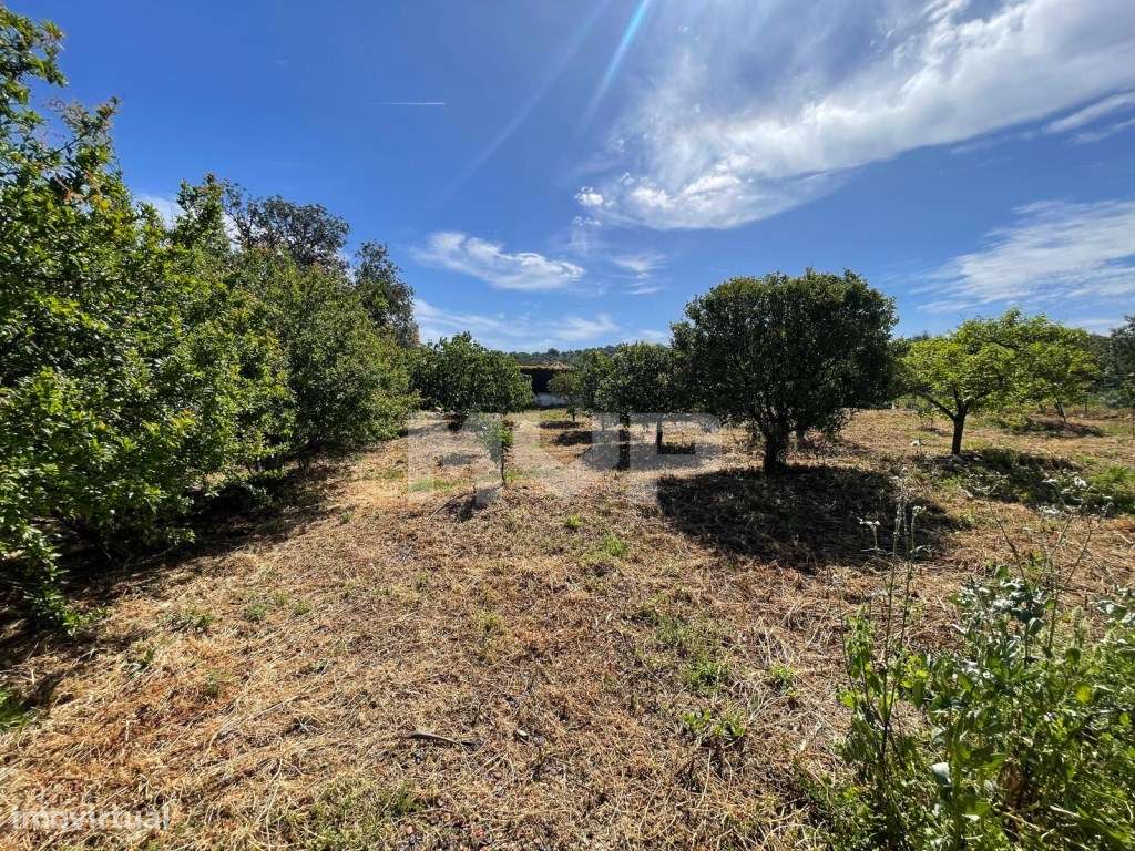 Quinta com 3 quartos e forno em Santa Bárbara de Nexe, Faro.-35