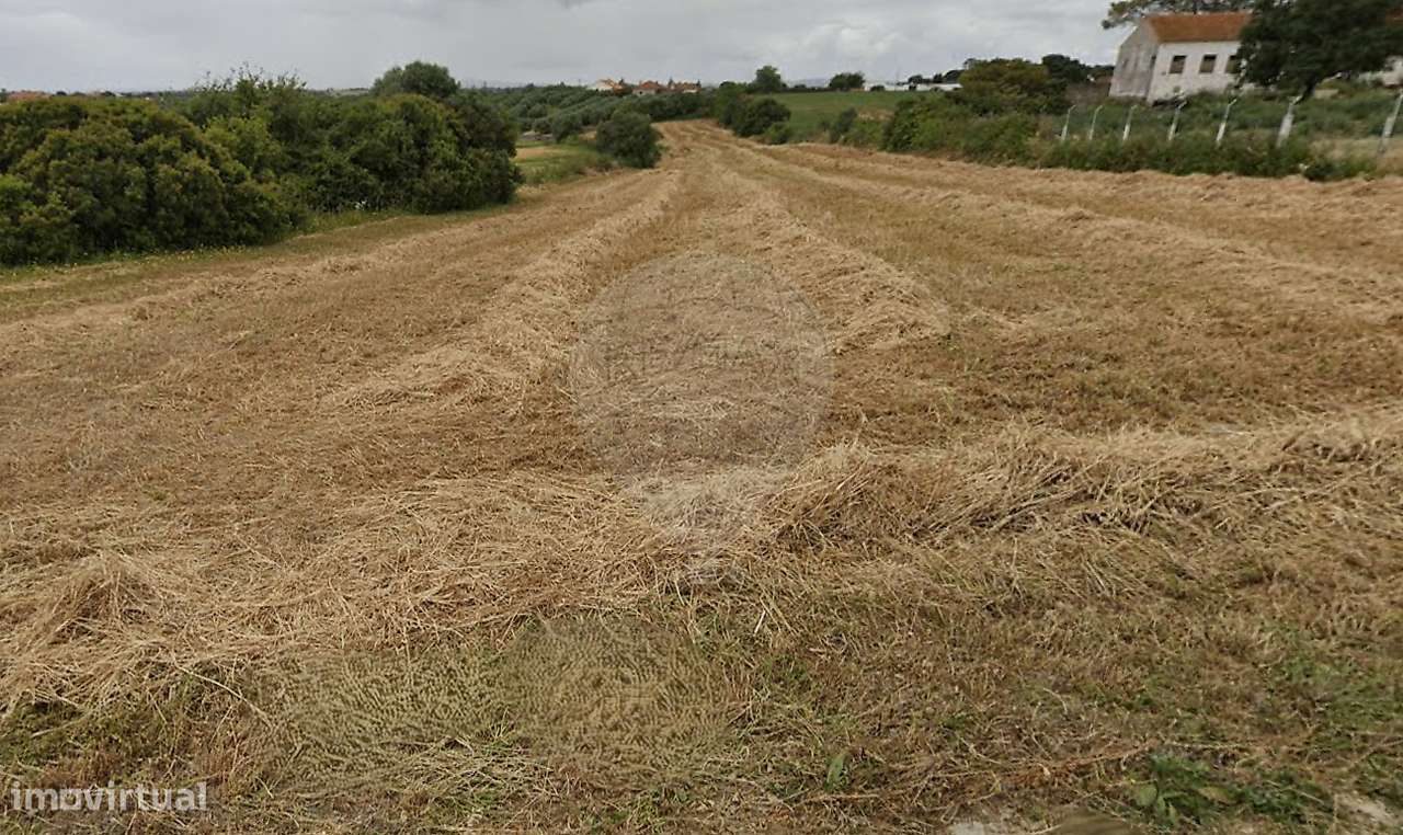 Terreno  para venda - Grande imagem: 3/4