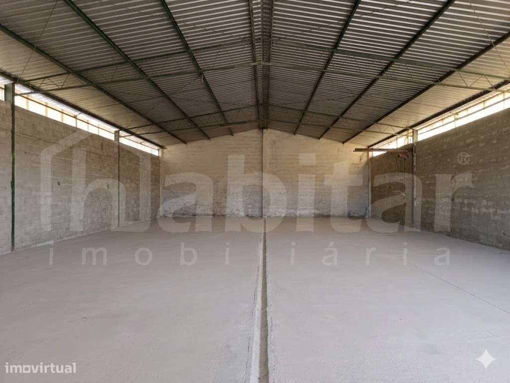 Terreno Urbano com 3.893 m², com Armazém com 288 m² - Benavente-12