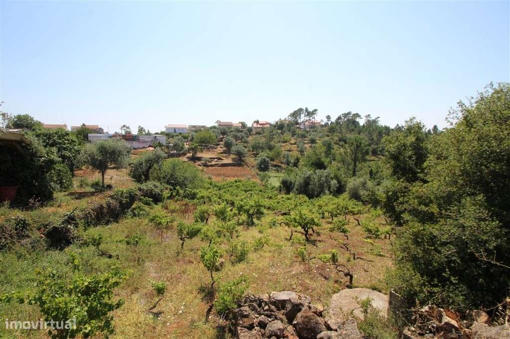 Terreno Para Construção, Coimbra, Assafarge - Grande imagem: 3/4