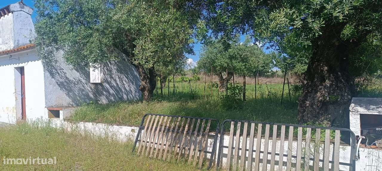 Quintinha em Elvas - Grande imagem: 4/27