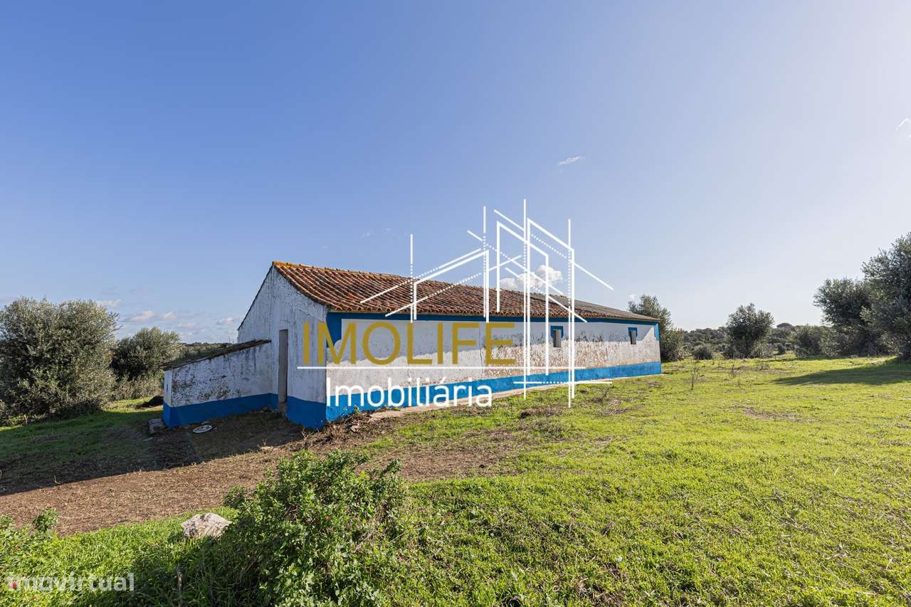 Monte Courela da Boavista - Tesas - Malarranha-51