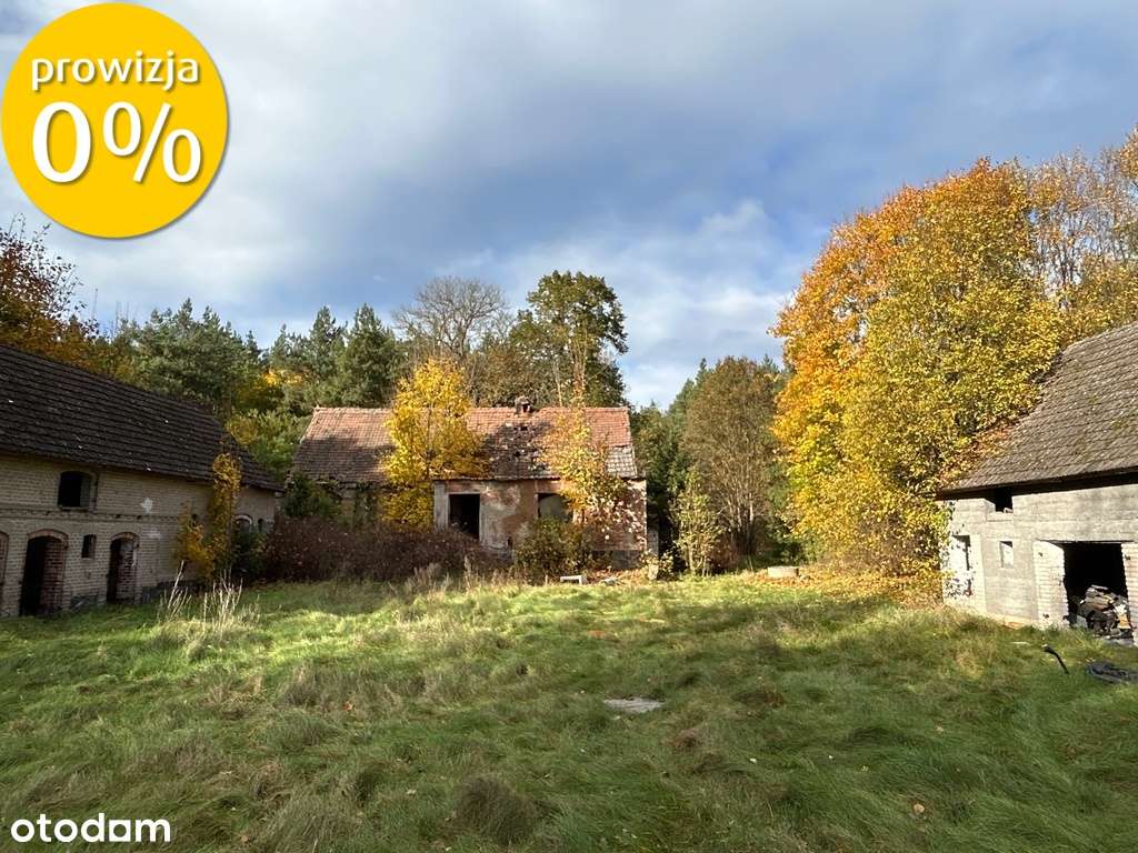 Siedlisko | 8,2 ha | Jędrzejewo k. Czarnkowa-10