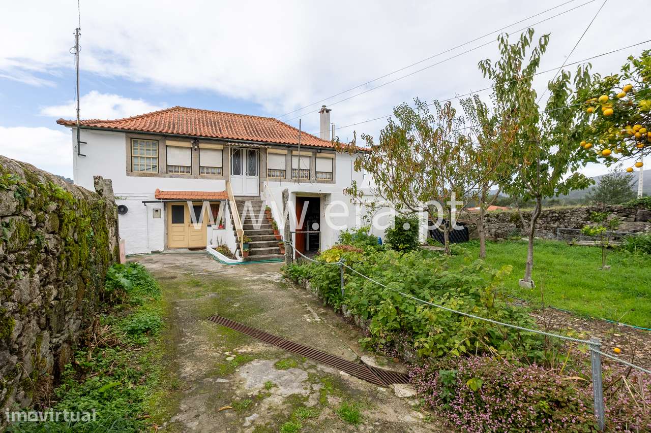 Onde a Visão Encontra a Natureza-6