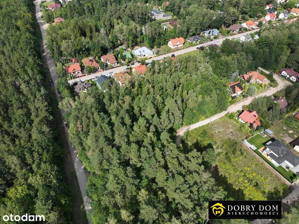 Działka w lesie z możliwością  zabudowy - Pełny obrazek: 4/5