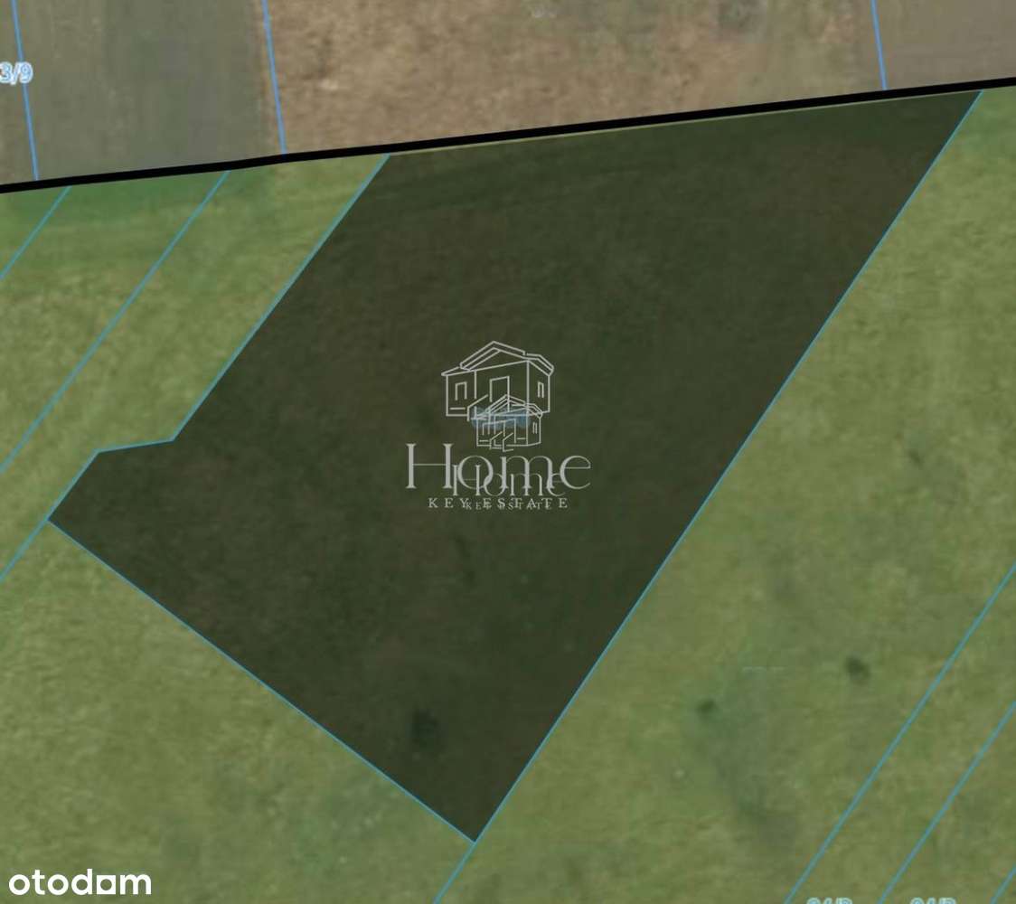 Działka budowlana przy samym lesie Helenów-Ozorków-1