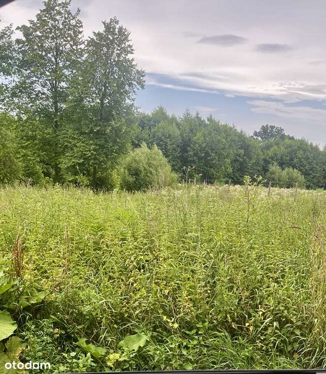 Sprzedam działkę 1420 m nad jeziorem z WZ i pozw. na budowę - Warmia - Pełny obrazek: 4/6