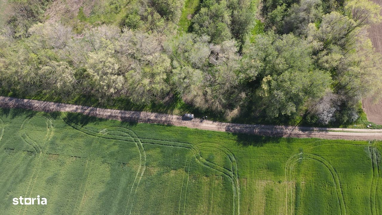 Loturi de teren cu deschidere la padure