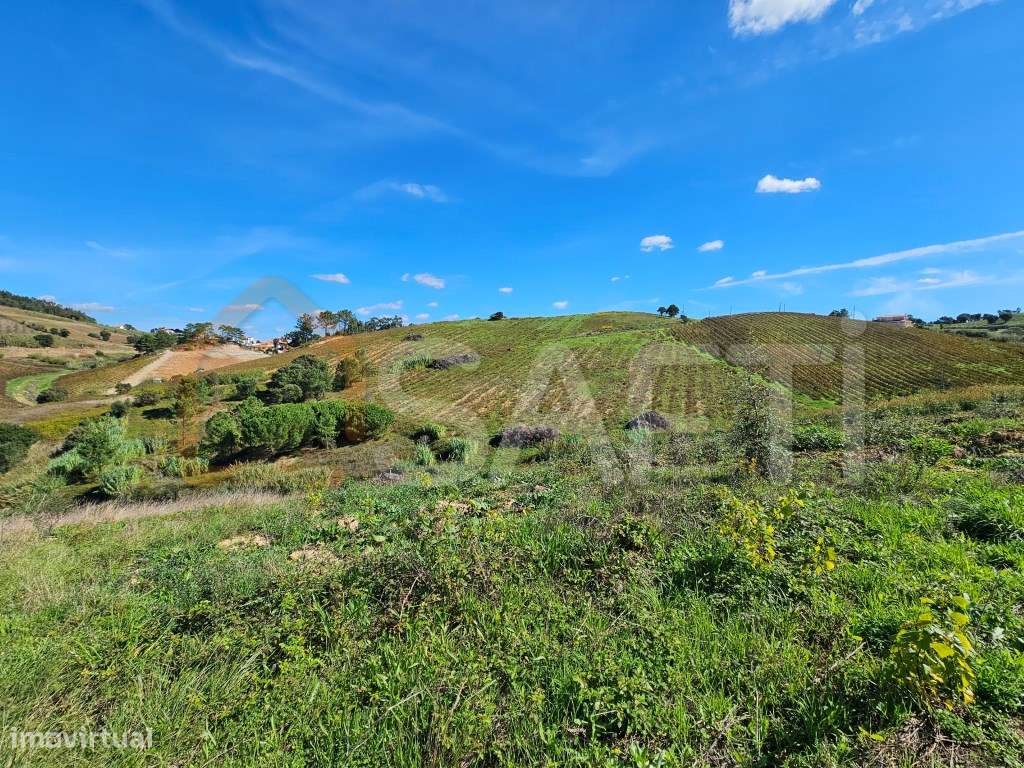 VENDA - TERRENO RÚSTICO - LIVRAMENTO MAFRA - Grande imagem: 4/43