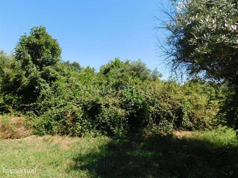 Terreno Rústico / Fundão, Capinha - Grande imagem: 2/6