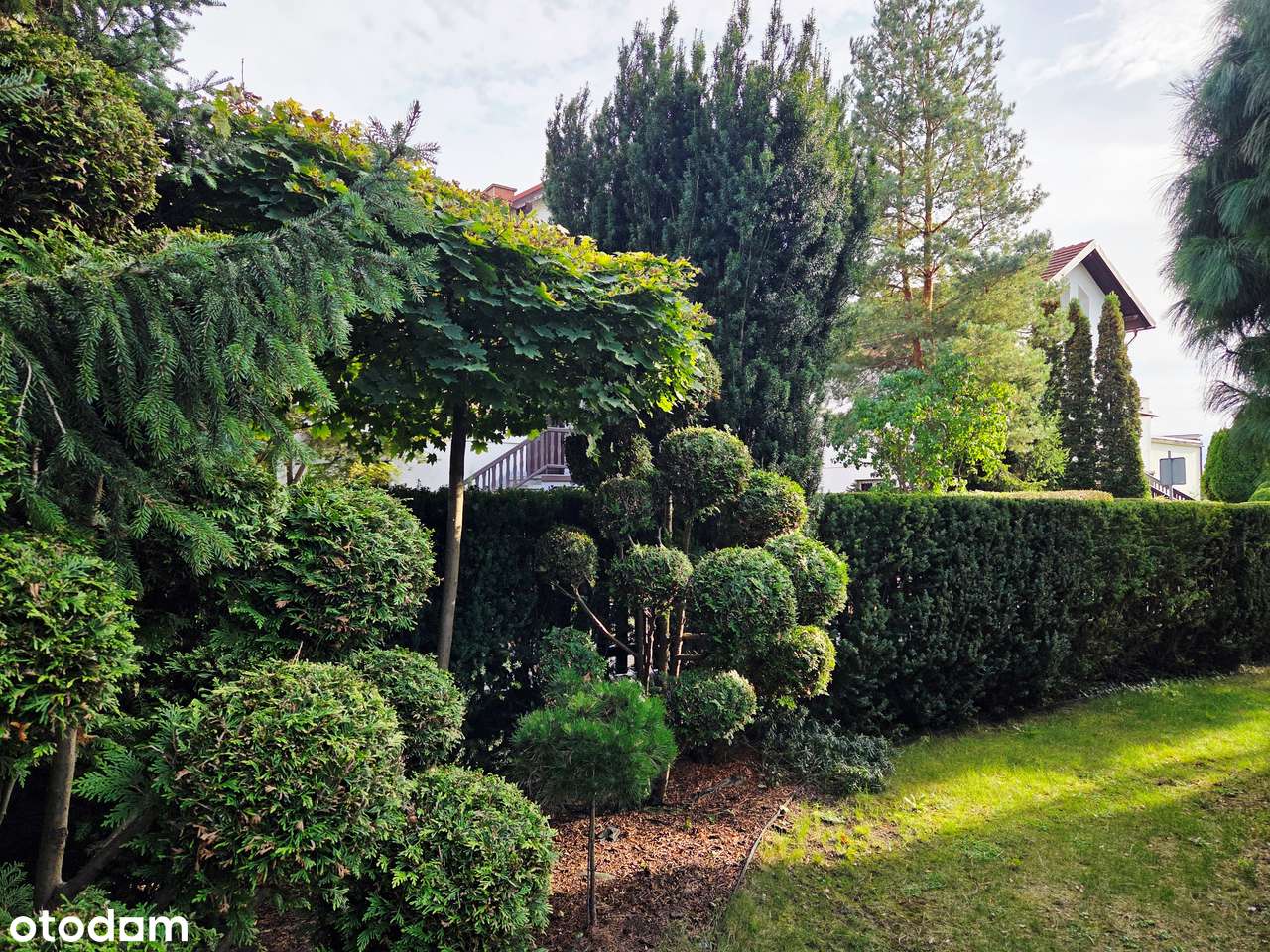 Dom z ogrodem, oranżerią + biuro / przestrzeń na biznes-15