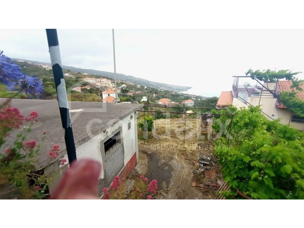 Terreno com 5250m2 em Gaula - vista mar - Grande imagem: 3/15