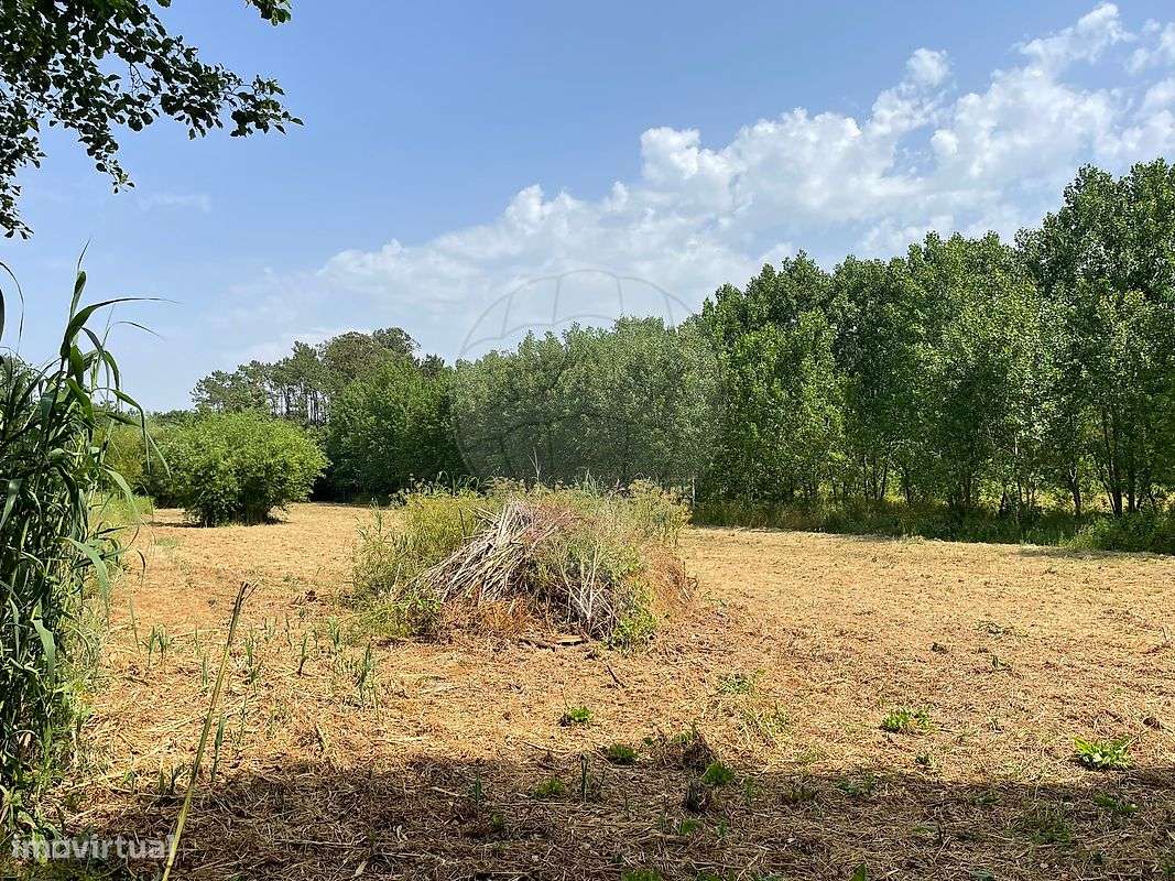 Terreno  para venda - Grande imagem: 4/6