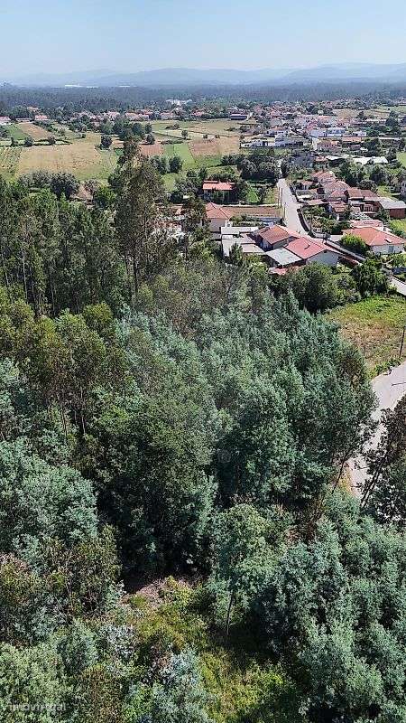 Terreno para construção | 10 min do Centro de Águeda-5