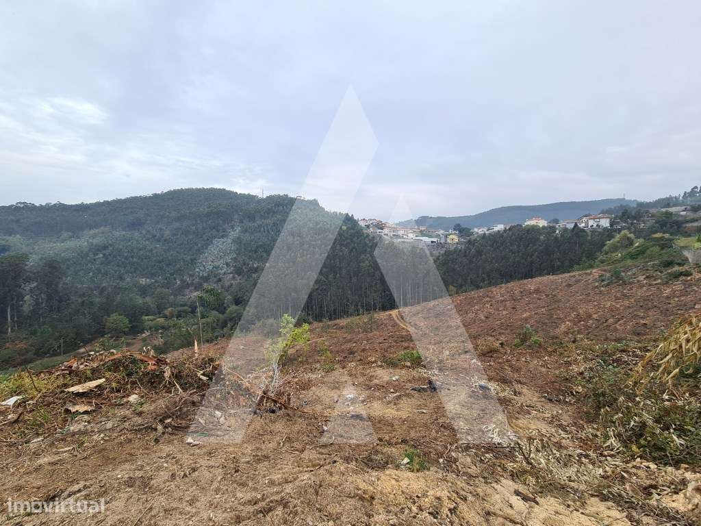 Terreno em Vale de Cambra - Grande imagem: 5/10