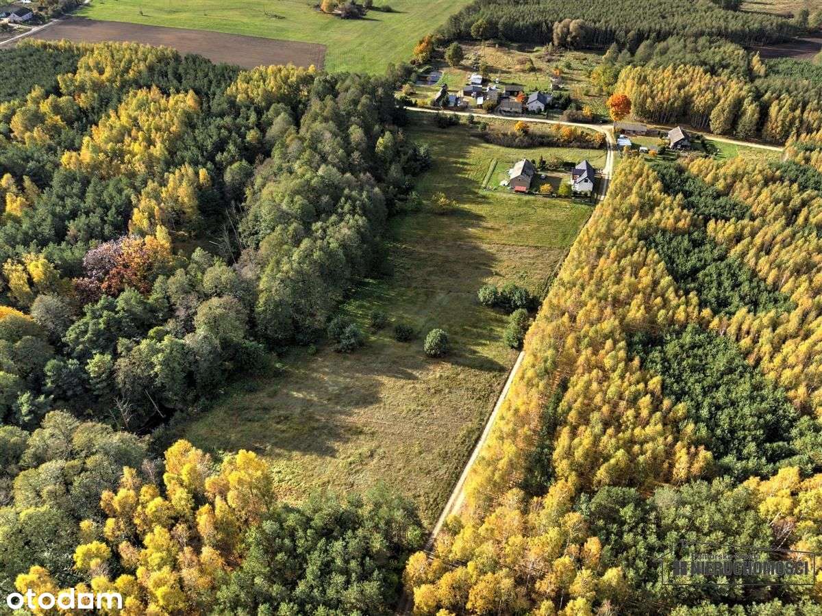 Działka pod lasem na raty - Piaseczno-14