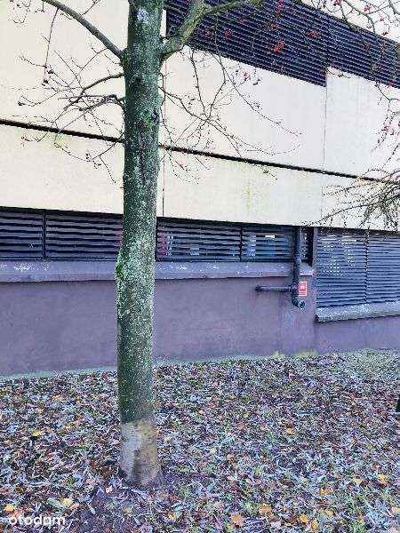 garaz - Pełny obrazek: 4/5