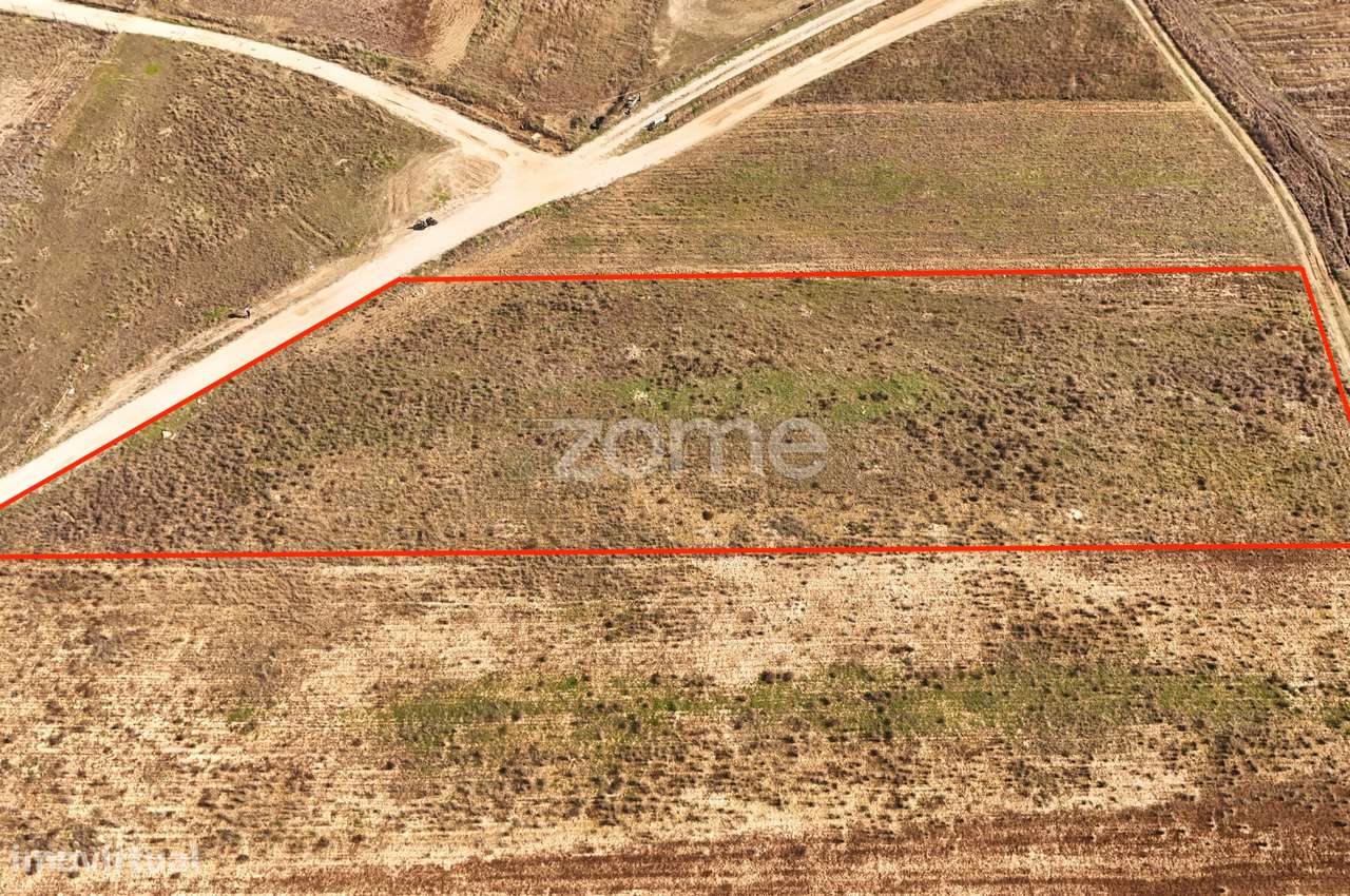 Terreno em Tunes - Grande imagem: 3/15